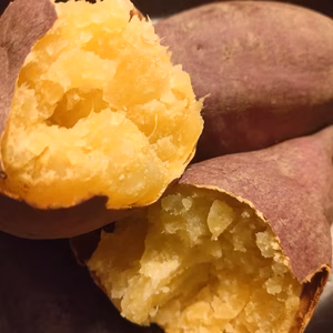 ホクホク系　土佐紅金時　【農薬・化学肥料 不使用】