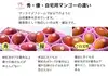 【ご自宅用】アップルマンゴー 約2kg 【7月発送】