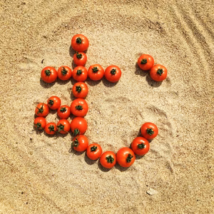 お子様も安心して食べれる、まるむ　中玉トマト