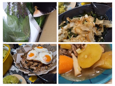 みんなの投稿の画像