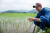 【食べ続けられる玄米】自然栽培ミルキークイーン５kg玄米