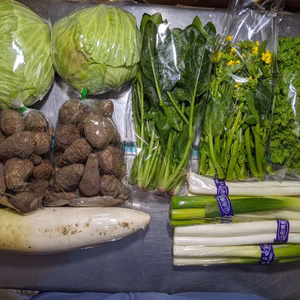 キャベツ、ダイコン、サトイモ、ネギ、ホウレンソウ、アスパラ菜、わさび菜