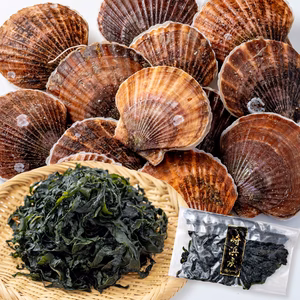 訳あり殻付活ホタテ&塩蔵ワカメ｜［サイズ不揃い］岩手県越喜来湾崎浜産
