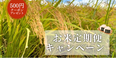 【開催中】お米定期便キャンペーン参加でクーポンゲット！
