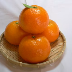 熟成宮内いよかんサイズ混合