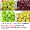 【送料無料】訳あり・規格外品 シャインマスカットと品種お任せぶどうのセット