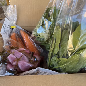 【無農薬、無化学肥料】野菜、漬物セット【着色料、保存料不使用】