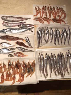 みんなの投稿の画像