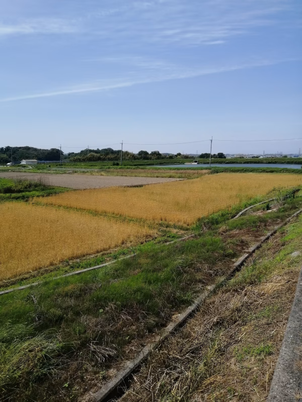 かなん自然農苑