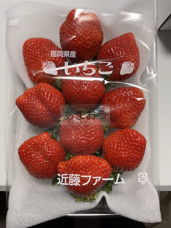 福岡県産いちご【訳あり】減農薬栽培　完熟あまおう　280g×2パック
