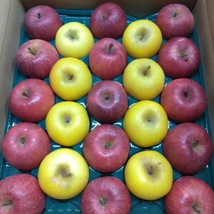 株式会社 菅野農園 菅野千秋さん 農家漁師から産地直送の通販 ポケットマルシェ