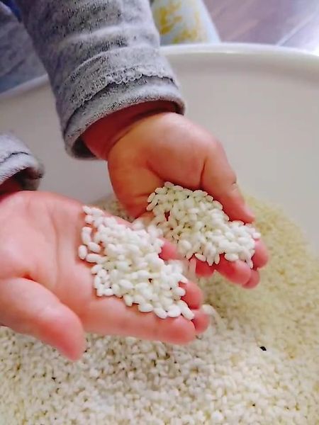 もち米】自然栽培「ハクトモチ」白米1.2.3.5kg｜餅・もち米の
