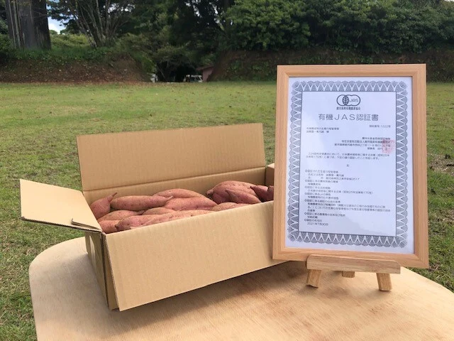 種子島産 オーガニック（有機）安納芋 MIXサイズ10kg