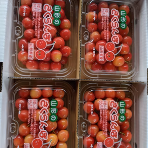 さくらんぼ佐藤錦Mサイズ満帆詰め