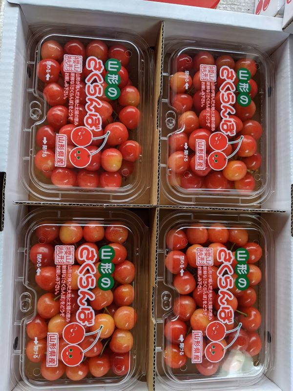 さくらんぼ佐藤錦Mサイズ満帆詰め