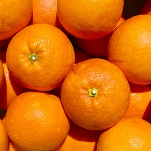 ブラッドオレンジ【真っ赤な高級柑橘】