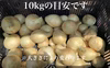 安心安全！甘く、みずみずしい！新玉ねぎ　大阪府堺産