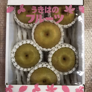 【福岡県うきは市】みずみずしくジューシーな豊水梨★秀品