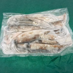 【訳あり値引き！数量限定】小さなスルメイカ１㎏〜