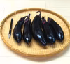 【夏のおススメ野菜】瑞々しく甘く美味しい中長ナス　農薬不使用（無農薬）栽培