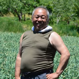 向井清孝