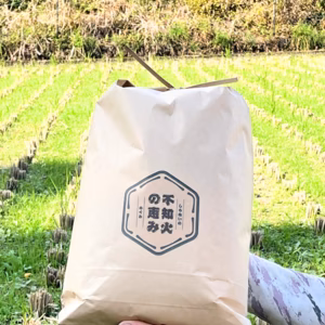 令和7年度 熊本県産　くまさんの輝き　玄米5kg