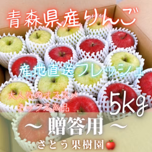 サンふじ＆王林(ミックス)『贈答用』3kg 又は 5kg