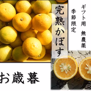 【季節限定　完熟カボス】ギフト用箱入りかぼす　農薬不使用（無農薬)