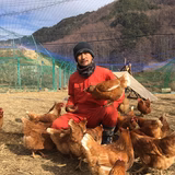 茅根健司 | COCCO相木