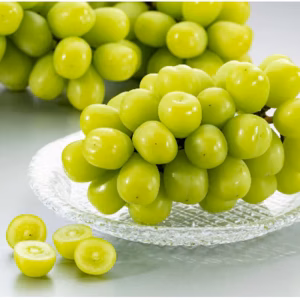 完熟シャインマスカット 大玉ぷりっと弾ける甘さ！種なし皮ごとOK