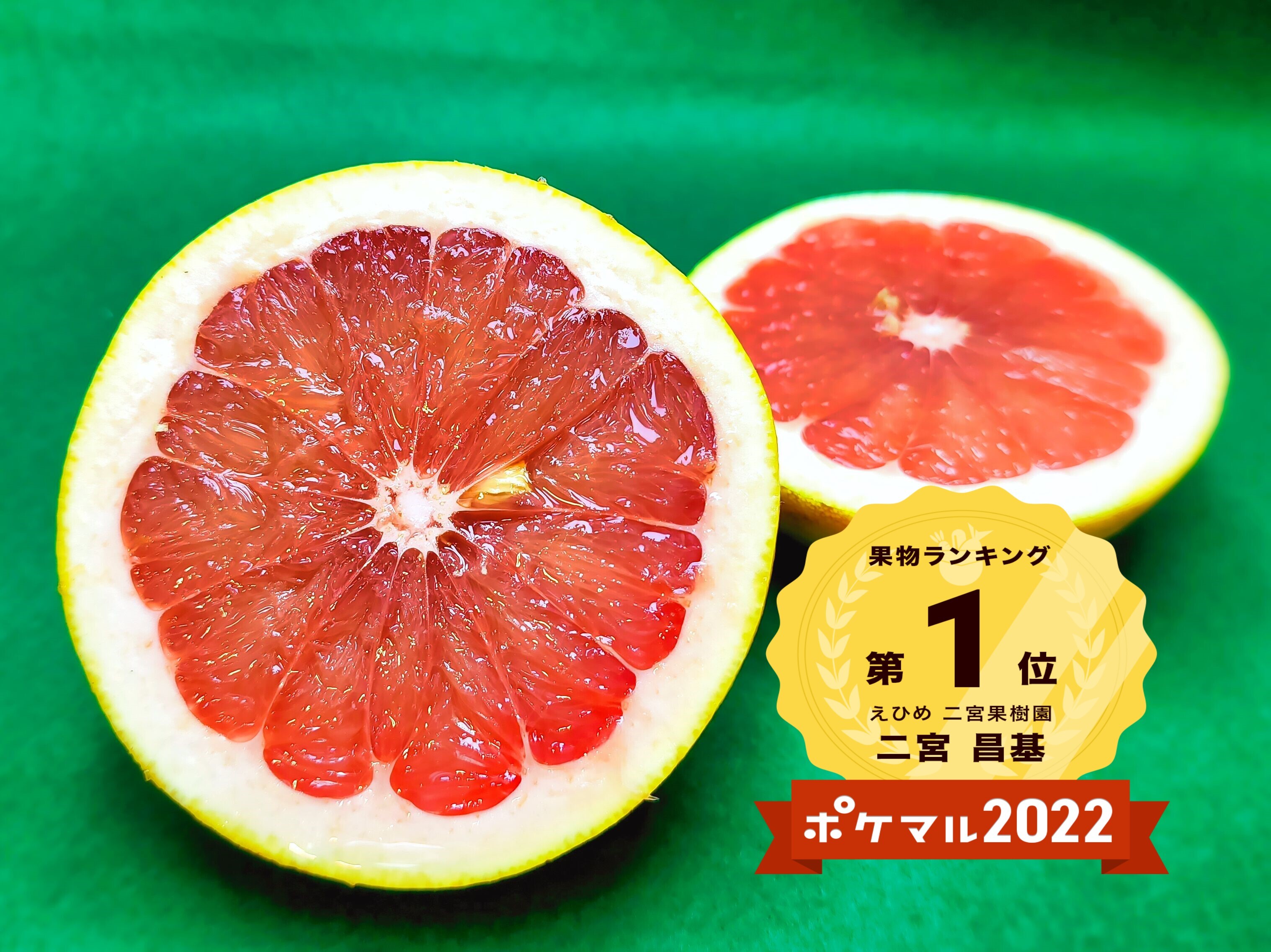 グレープフルーツマーブル40M EPSILON JAPAN RAGUNA ZZYZX | wheelsgang