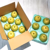【良品大玉】二十世紀梨６～９個入約3kg