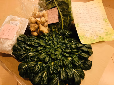 みんなの投稿の画像