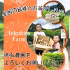 超新鮮！生姜マニアが作る新生姜4㎏　11月1日順次発送予定　