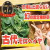 【一般市場に流通しない古代スイカ】見つけたら幸運の持ち主☆農薬・化学肥料不使用
