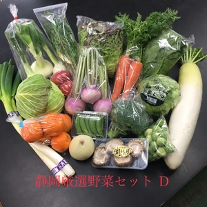 Ⓓ静岡厳選野菜セット