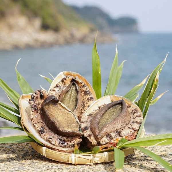 屋形石漁協　海士部会
