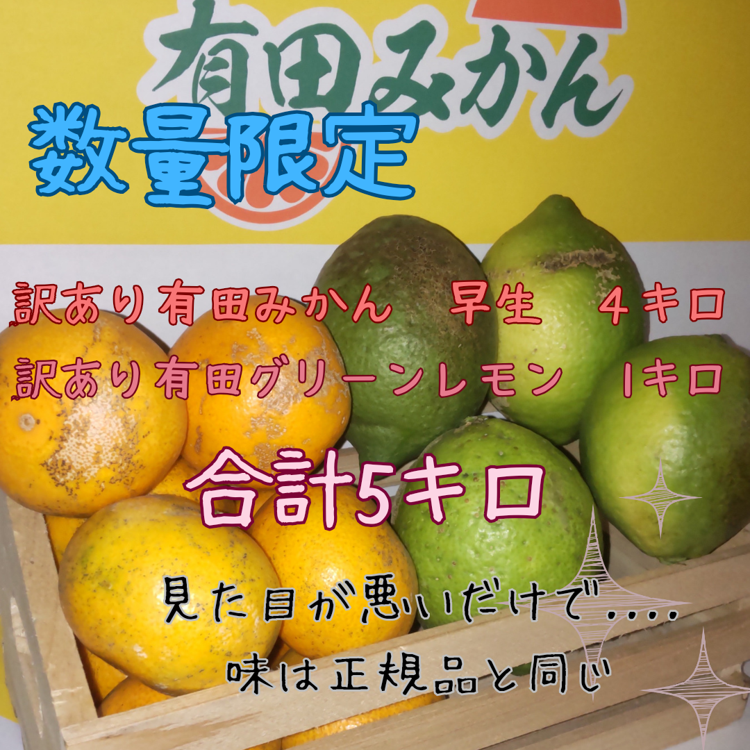 訳あり やわらかいか味天 柑橘 まどんな入りゼリー - 魚介類(加工食品)