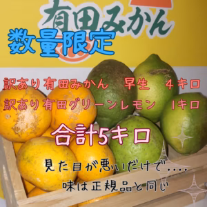 有田みかん　みかん　早生　レモン　グリーンレモン　計５キロ　セット