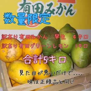 有田みかん　みかん　早生　レモン　グリーンレモン　計５キロ　セット