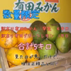 有田みかん　みかん　早生　レモン　グリーンレモン　計５キロ　セット