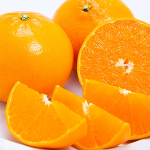 【送料無料＋早割】柑橘の大トロ〈せとか〉 2㎏（ご家庭用）
