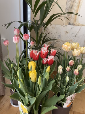 みんなの投稿の画像