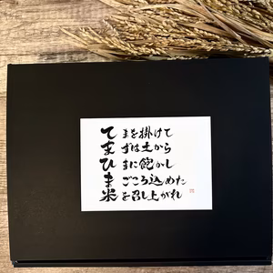 【お米のギフト（贈答）】おまかせ2種セット 2kg～『てまひま米』