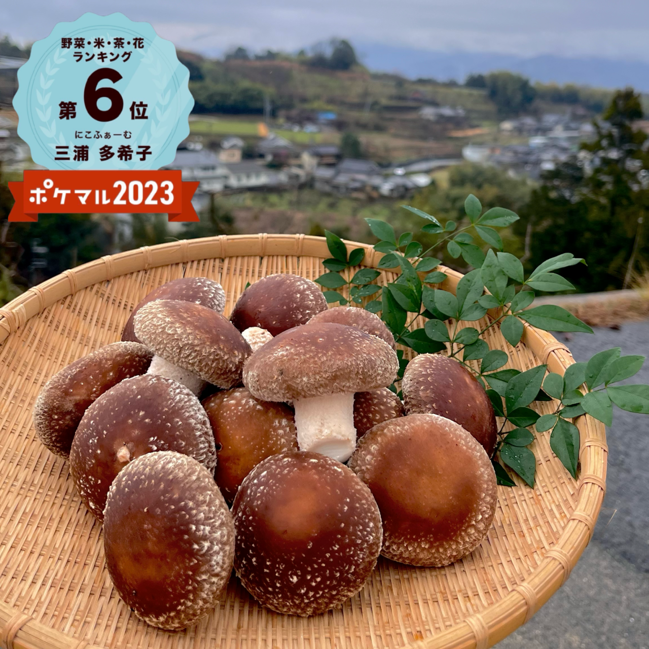 ✳︎送料無料✳︎[クール便]こだわり味自慢 和歌山県産菌床椎茸 1,000g入り