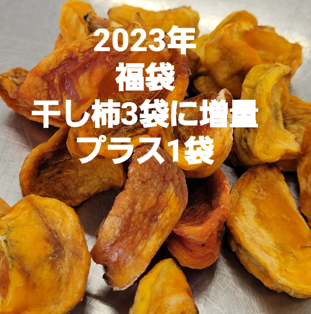 福袋2023年甘柿の干し柿100g×3袋増量1袋