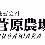 菅原智大