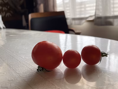 みんなの投稿の画像