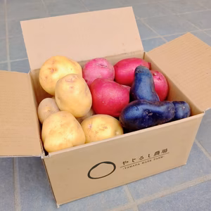【期間限定特価】カラフルじゃがいも多品種食べ比べセット！