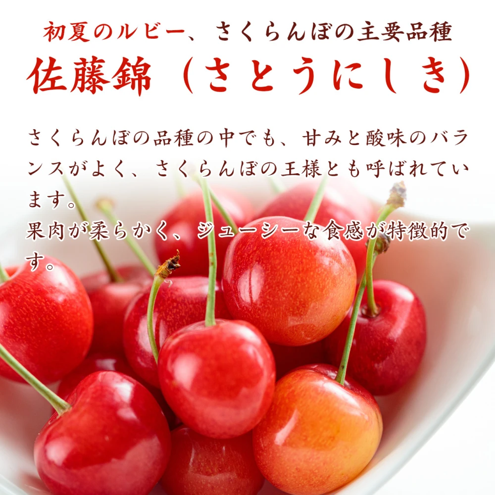 メーカー直送 さくらんぼ 訳あり 山形県産佐藤錦 500g agapeeurope.org